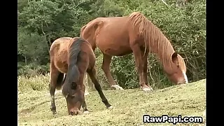 Gay Sex 1